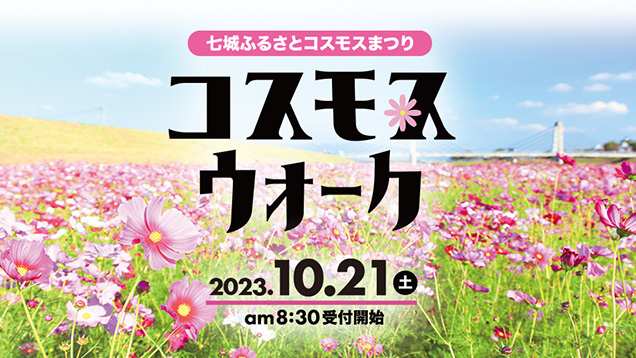 菊池市七城ふるさとコスモスウォーク