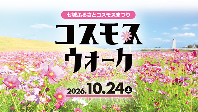 菊池市七城ふるさとコスモスウォーク