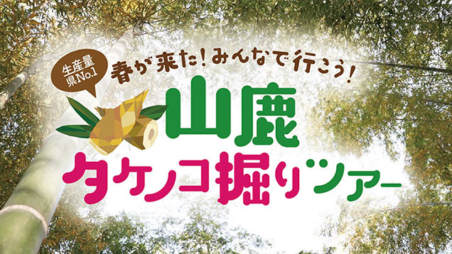 山鹿タケノコ掘りツアー